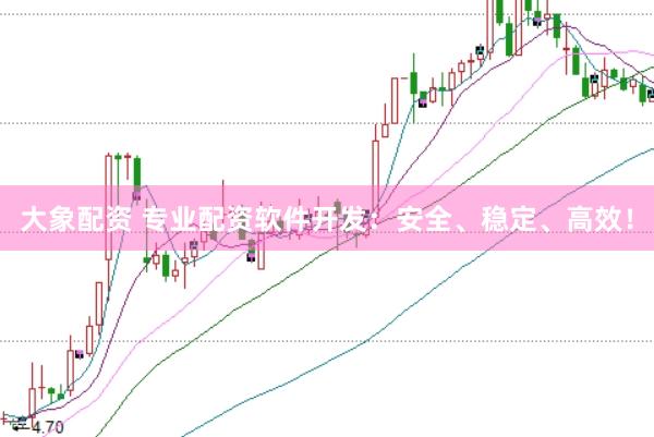 大象配资 专业配资软件开发：安全、稳定、高效！