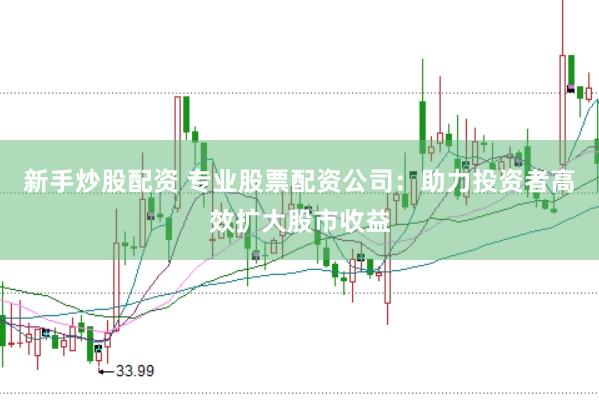 新手炒股配资 专业股票配资公司：助力投资者高效扩大股市收益