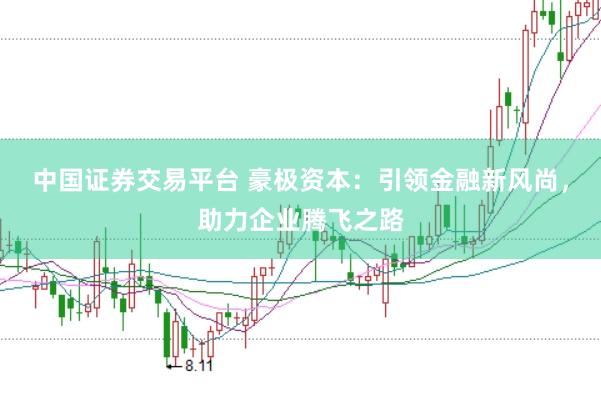 中国证券交易平台 豪极资本：引领金融新风尚，助力企业腾飞之路