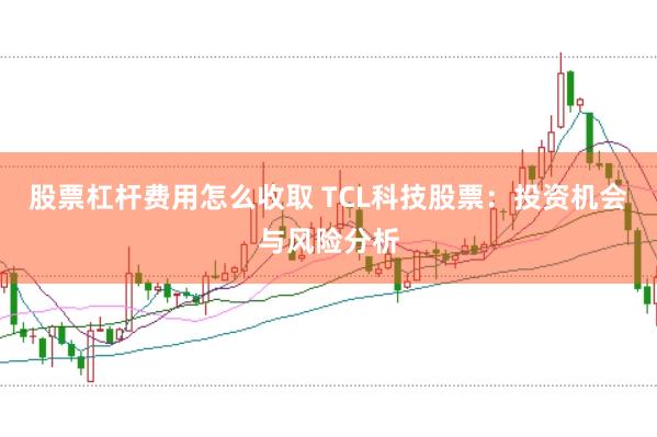 股票杠杆费用怎么收取 TCL科技股票：投资机会与风险分析