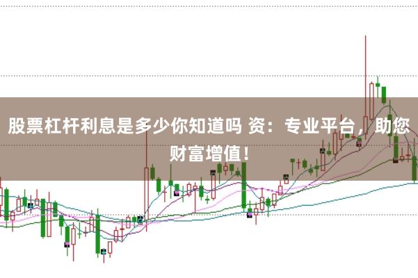 股票杠杆利息是多少你知道吗 资：专业平台，助您财富增值！