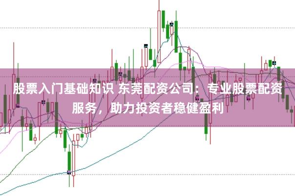 股票入门基础知识 东莞配资公司：专业股票配资服务，助力投资者稳健盈利