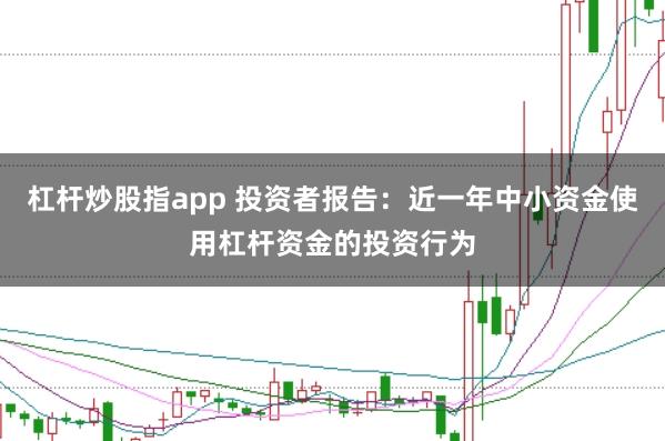 杠杆炒股指app 投资者报告:近一年中小资金使用杠杆资金的投资行为