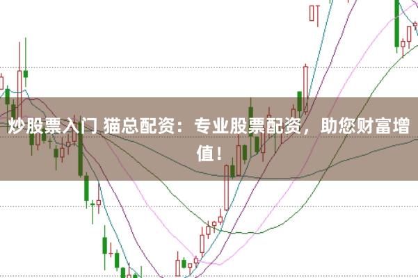 炒股票入门 猫总配资:专业股票配资,助您财富增值!