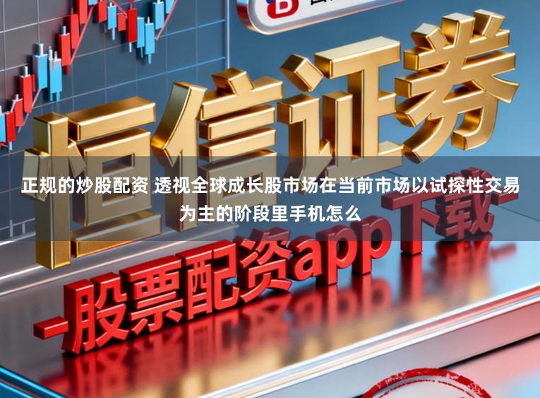 正规的炒股配资 透视全球成长股市场在当前市场以试探性交易为主的阶段里手机怎么