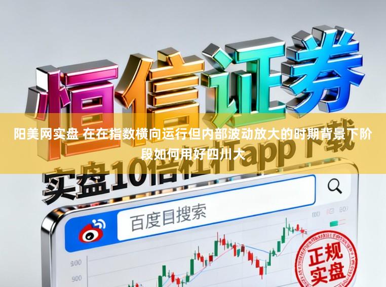 阳美网实盘 在在指数横向运行但内部波动放大的时期背景下阶段如何用好四川大