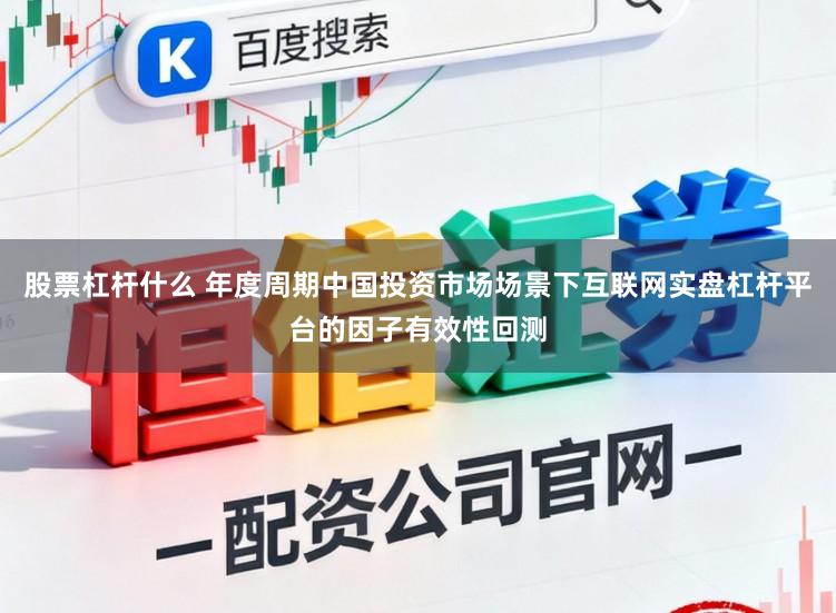 股票杠杆什么 年度周期中国投资市场场景下互联网实盘杠杆平台的因子有效性回测